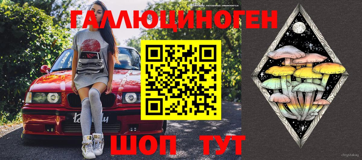 Псилоцибиновые грибы Psilocybine cubensis Мирный