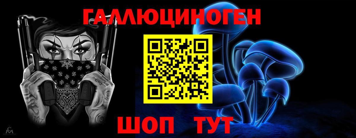 Мирный  Псилоцибиновые грибы Psilocybe  Вход с VPN  Галлюциногенные грибы мицелий 