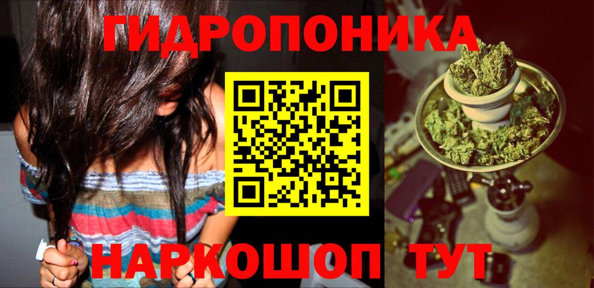 Канабис OG Kush Мирный